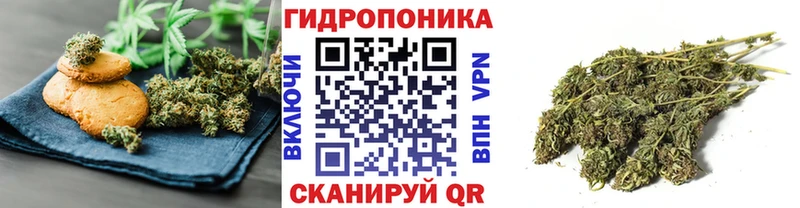 Печенье с ТГК конопля  blacksprut ссылки  Аргун 