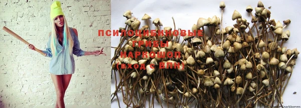 мет Магадан