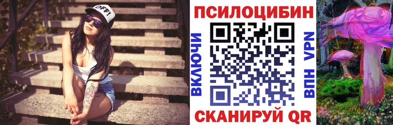 цены   Аргун  Галлюциногенные грибы мухоморы 