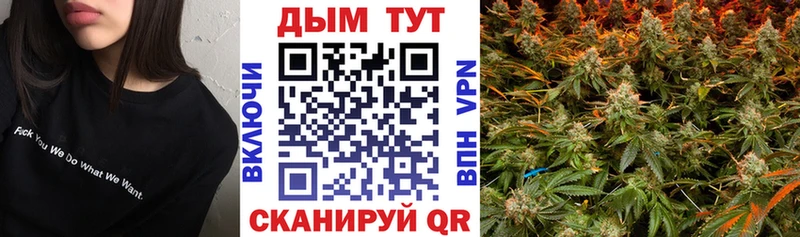 Бошки Шишки план  Аргун 
